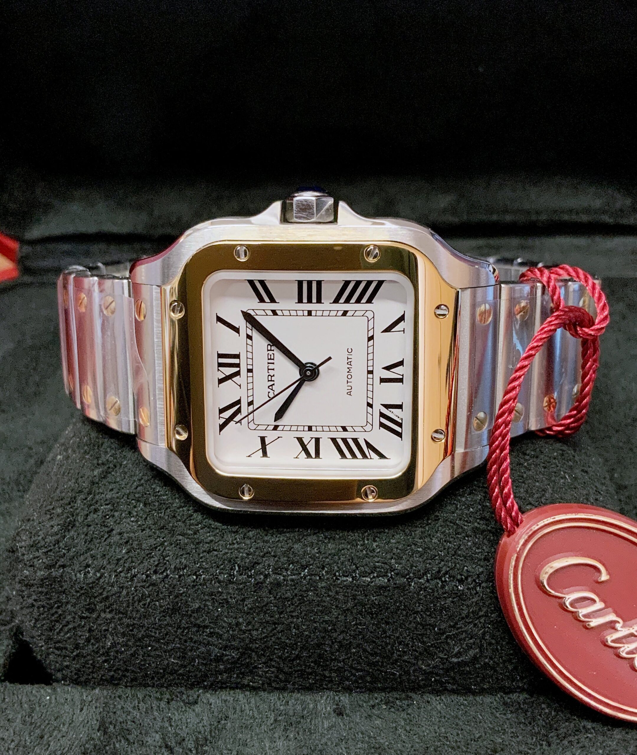 Cartier replica Santos De Cartier W2SA0007 Medium Size5
